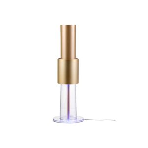 Light Air Ion Flow Evolution Gold